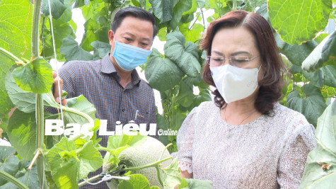 Phong trào Nông dân sản xuất - kinh doanh giỏi: Hình thành thế hệ nông dân mới dám nghĩ, dám làm
