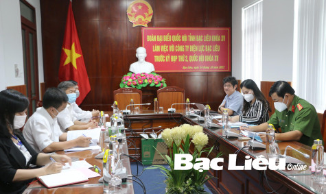Đoàn ĐBQH tỉnh làm việc với Công ty Điện lực Bạc Liêu trước kỳ họp thứ 2, Quốc hội khóa XV