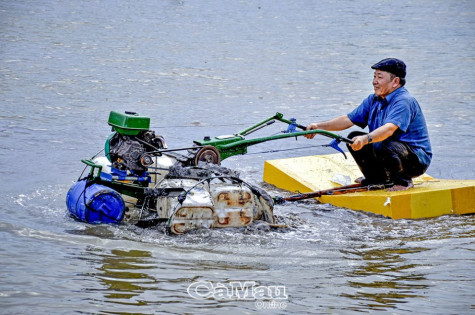 Những nhà nông năng động