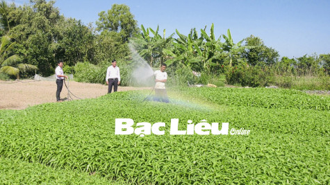 Phát huy hiệu quả nguồn vốn tín dụng chính sách trong đồng bào Khmer