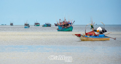 Xử lý nghiêm tàu cá vi phạm vùng biển nước ngoài