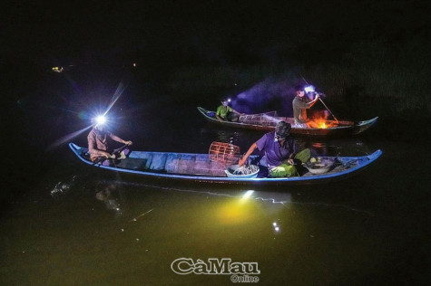 Săn cá đêm mùa nước nổi