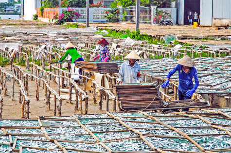 Chống dịch song hành phục hồi kinh tế