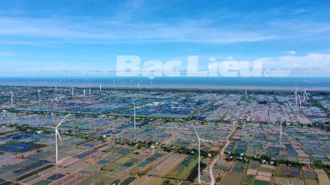 Dự án điện gió Hacom Bạc Liêu