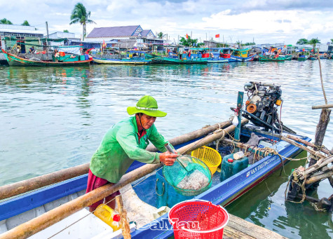 Ứng phó thiên tai dựa vào cộng đồng