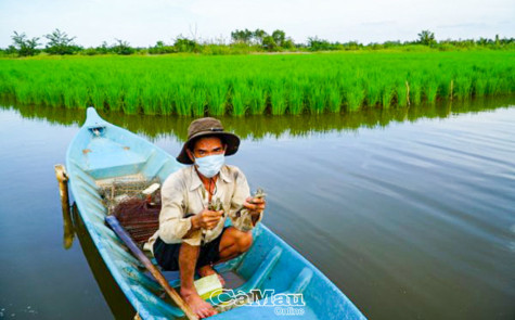 Giảm nghèo trong đại dịch