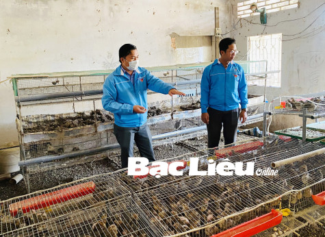 Thanh niên cần gì ở tổ chức Đoàn trong tình hình mới?