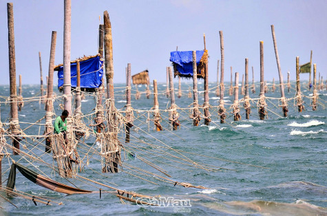 Bỏ quy định đảm bảo an toàn cho người canh giữ đáy hàng khơi