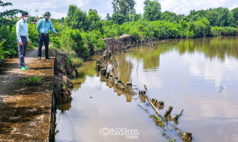 Ngăn sạt lở ven sông cần giải pháp lâu dài