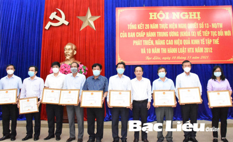 Tổng kết 20 năm thực hiện Nghị quyết số 13 về tiếp tục đổi mới phát triển, nâng cao hiệu quả kinh tế tập thể