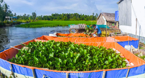 Cơ hội cho phát triển nông nghiệp