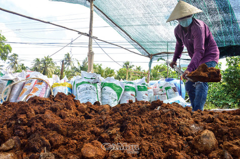 Nông sản sạch cho người tiêu dùng