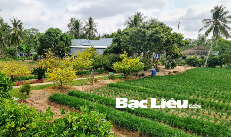 Nông thôn Bạc Liêu khoác áo mới