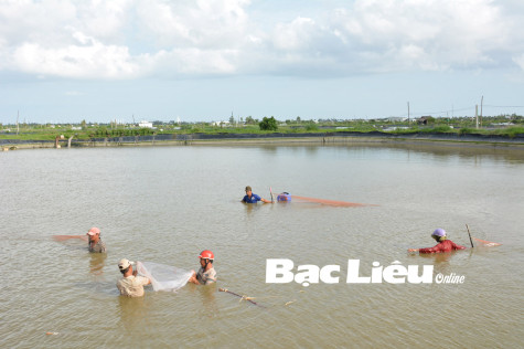 TP. Bạc Liêu:​ Phấn đấu tỷ lệ lao động tham gia BHXH bắt buộc và BHTN đạt 95%