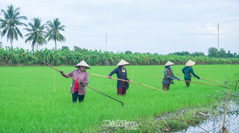 Thích ứng trong sản xuất