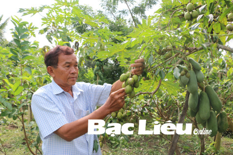 Ông Sơn By (Bạc Liêu) được tôn vinh Nông dân Việt Nam xuất sắc năm 2021