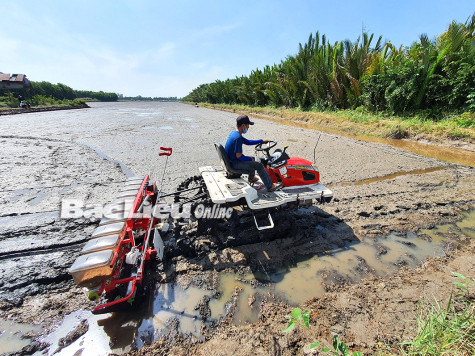 Xây dựng chuỗi sản xuất, cung ứng lương thực, thực phẩm xanh