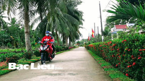Thực hiện tốt tiêu chí môi trường: Tạo mỹ quan nông thôn xanh - sạch - đẹp
