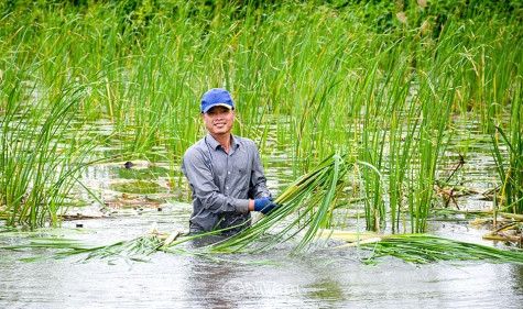 Làm giàu từ kinh tế tập thể