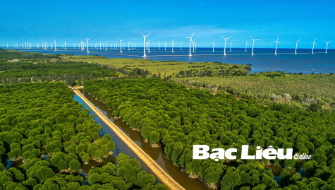 Hơi thở cuộc sống qua ống kính nhiếp ảnh