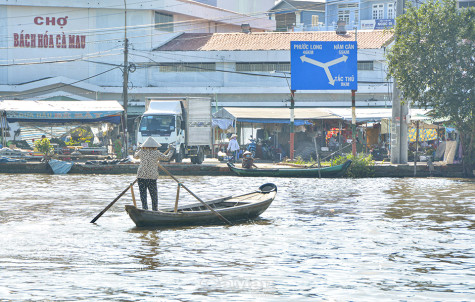 Hiu hiu gió lạnh