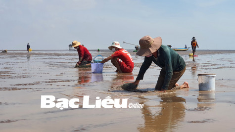 HTX Đồng Tiến:​ Điểm sáng về phát triển kinh tế hợp tác, đảm bảo an sinh xã hội