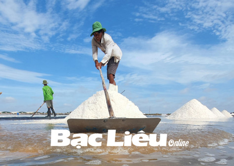 Thấp thỏm vụ muối mới