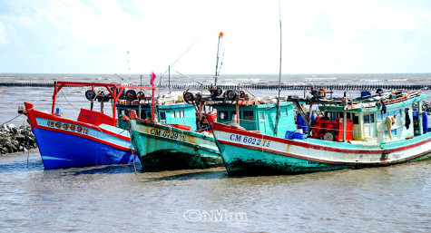 Chủ động ứng phó với áp thấp nhiệt đới có khả năng thành bão đi vào biển Đông