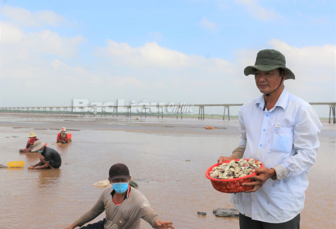 Phát huy vai trò hợp tác xã trong xây dựng nông thôn mới