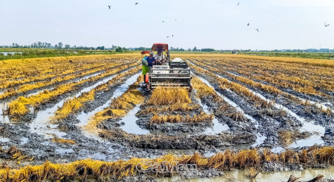 Ðể kinh tế tập thể   khẳng định vị thế - Bài 2: Làn gió từ hợp tác xã kiểu mới