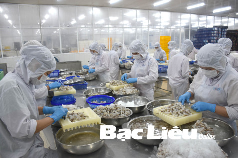 Phát triển thủy sản 2021: Năm con tôm… vượt khó