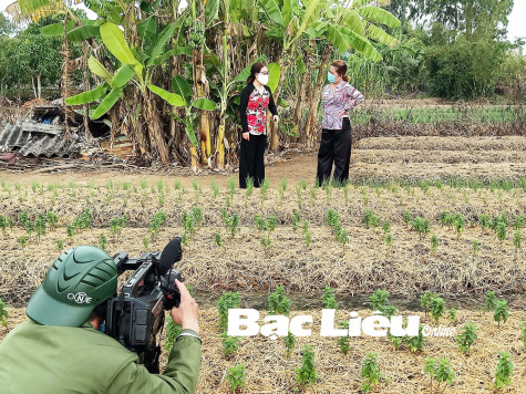 Đa dạng hình thức tuyên truyền phòng, chống dịch COVID-19