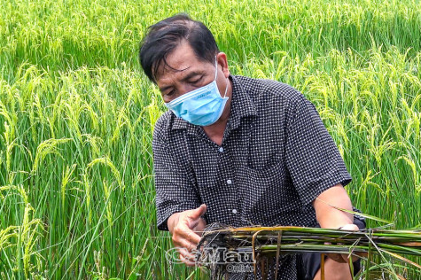 Ðể kinh tế tập thể khẳng định vị thế - Bài cuối: Làm gì để kinh tế tập thể đứng vững?