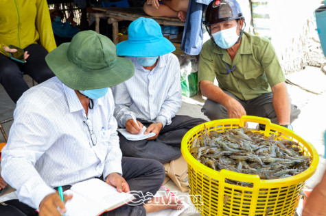 Nỗ lực duy trì tăng trưởng kinh tế