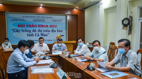 Đề xuất giải pháp phát triển cây trồng đô thị ổn định lâu dài