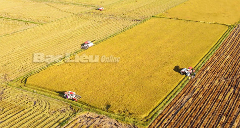 25 năm vượt khó và hành trình đến tốp đầu khu vực