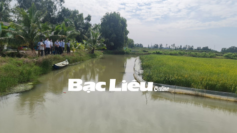 Nông nghiệp Bạc Liêu: Chủ động thích ứng với biến đổi khí hậu