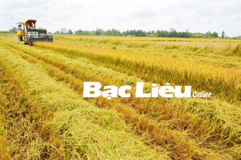 Chủ động giảm chi phí trong sản xuất