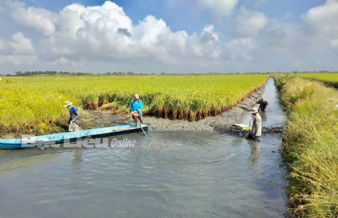 Đẩy mạnh và khuyến khích doanh nghiệp liên kết với nông dân ứng dụng công nghệ cao