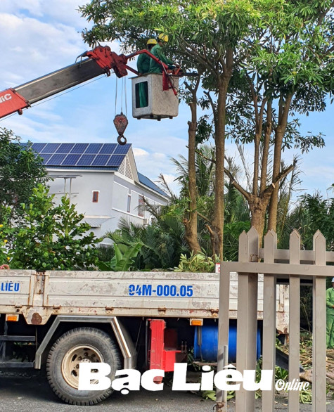 Làm đẹp phố phường