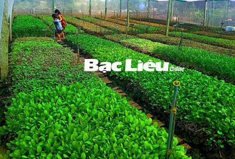 Chuyển đổi số nông nghiệp và vai trò của thanh niên