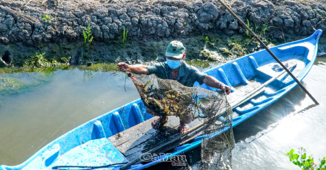 Bên dòng Kinh Hội