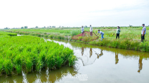 Thực hiện linh hoạt,  hài hoà mục tiêu kép