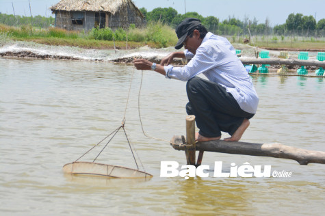 Nguồn vốn tín dụng ưu đãi: Giúp đồng bào Khmer vươn lên thoát nghèo