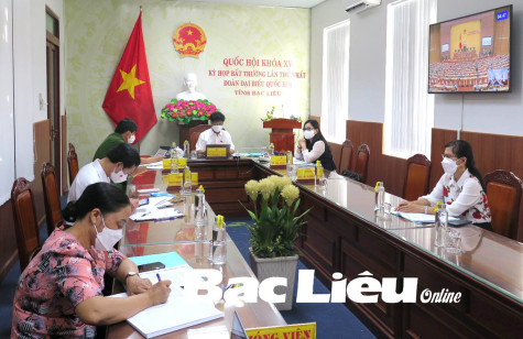 Quốc hội thảo luận trực tuyến về Chương trình phục hồi và phát triển kinh tế - xã hội