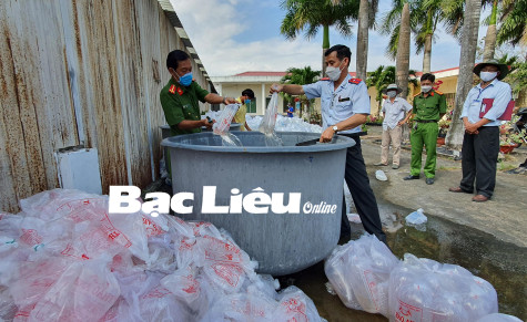 Bắt và tiêu hủy gần 5,3 triệu con tôm giống chưa qua kiểm dịch