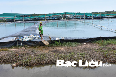 Nhiều thách thức trong công tác quản lý và bảo vệ môi trường