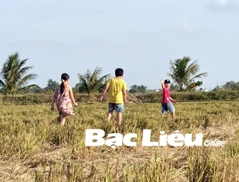 Bâng khuâng tháng Chạp…