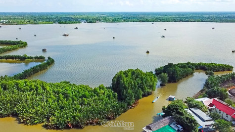 Sắc xuân giữa hồn đầm