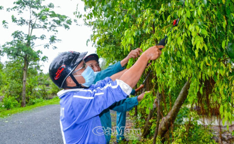 Xây dựng Ðảng “trước một bước” - Bài 2: Nhận diện nguyên nhân